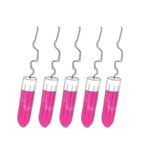 sisters-republic-de-the-sisters-republic-period-underwear-discover-the-pretty-menstrual-panties-that-replace-your-pads-and-tampons-the-comfortable-super-absorbent-mutandine-mestruali-keeps-you-dry-for-up-to-12-hours-with-our-panties-made-from-antibacterial-oeko-tex-fabric-you-will-feel-fresh-and-light-just-like-on-normal-days