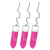sisters-republic-de-las-bragas-menstruales-de-sisters-republic-descubre-las-bonitas-bragas-menstruales-que-reemplazan-tus-compresas-y-tampones-la-comoda-y-supersorbente-ropa-interior-menstrual-se-mantiene-seca-hasta-12-horas-con-nuestras-bragas-de-tejido-antibacteriano-oeko-tex-te-sentiras-fresca-y-ligera-como-en-dias-normales